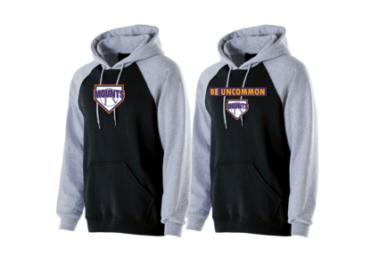 Holloway Banner Hoodie - Image 4