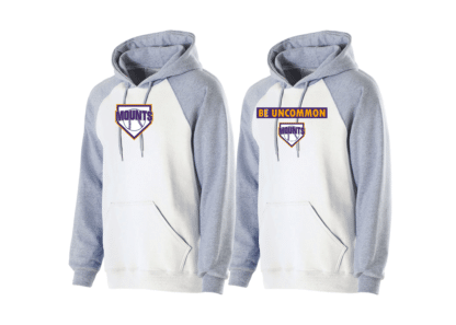 Holloway Banner Hoodie - Image 3