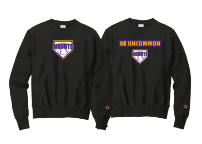 Champion Crewneck - Image 3