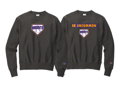 Champion Crewneck - Image 4