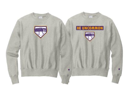 Champion Crewneck - Image 2