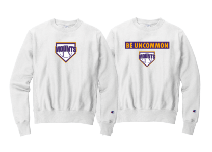 Champion Crewneck - Image 5