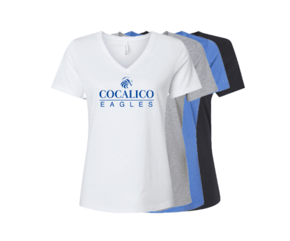 Women's Relaxed Heather CVC V-Neck Tee