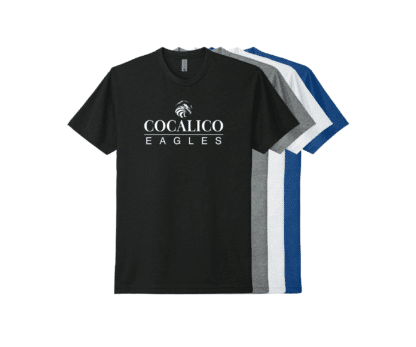 Next Level CVC Tee
