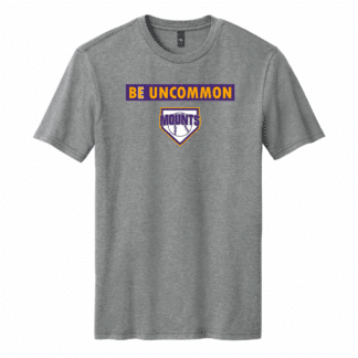 District Perfect Blend CVC Tee