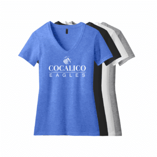 District Womens Perfect Blend CVC V-Neck Tee